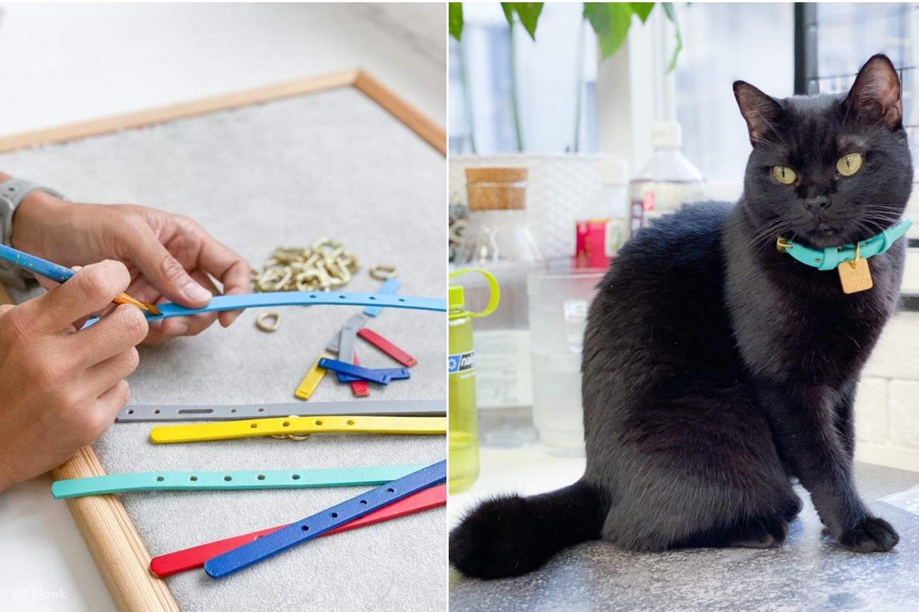 Assembla il guinzaglio dell'animale